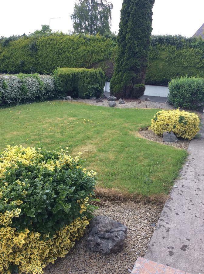Riverside House Bed & Breakfast Roscommon Bagian luar foto